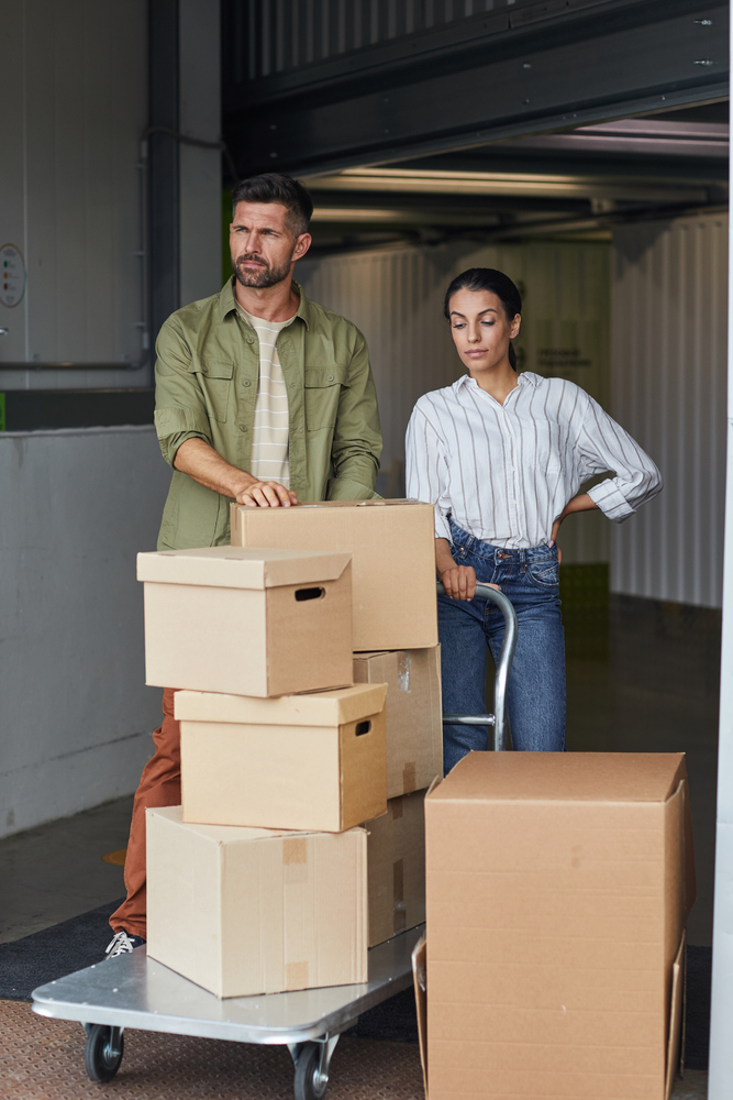 professional moving services local move just a few items